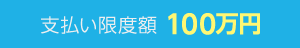 支払い限度額100万円