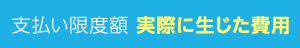 支払い限度額 実際に生じた費用
