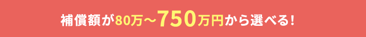補償額が100万?750万円から選べる！