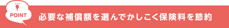 POINT　必要な補償額を選んでかしこく保険料を節約