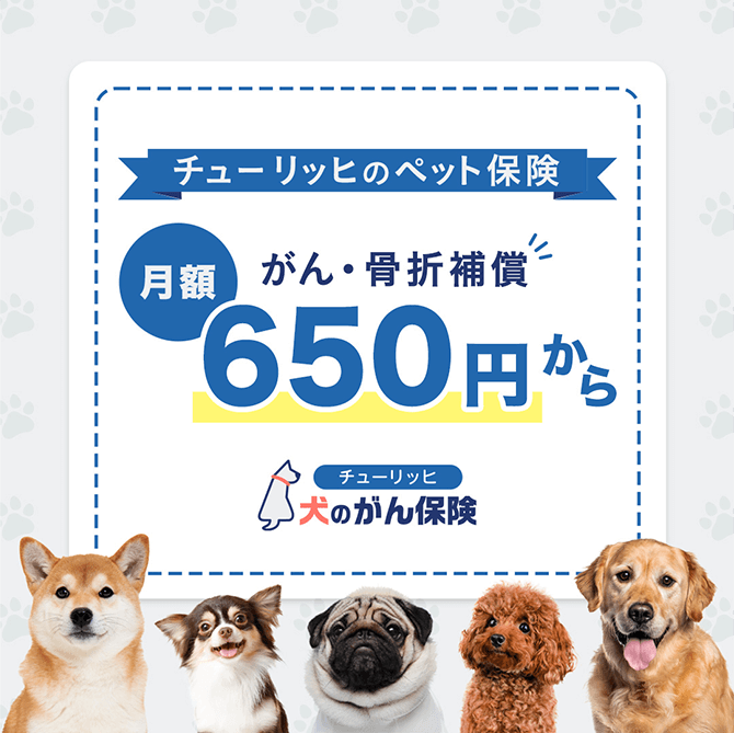 <チューリッヒのペット保険>がん・骨折補償 月額650円から