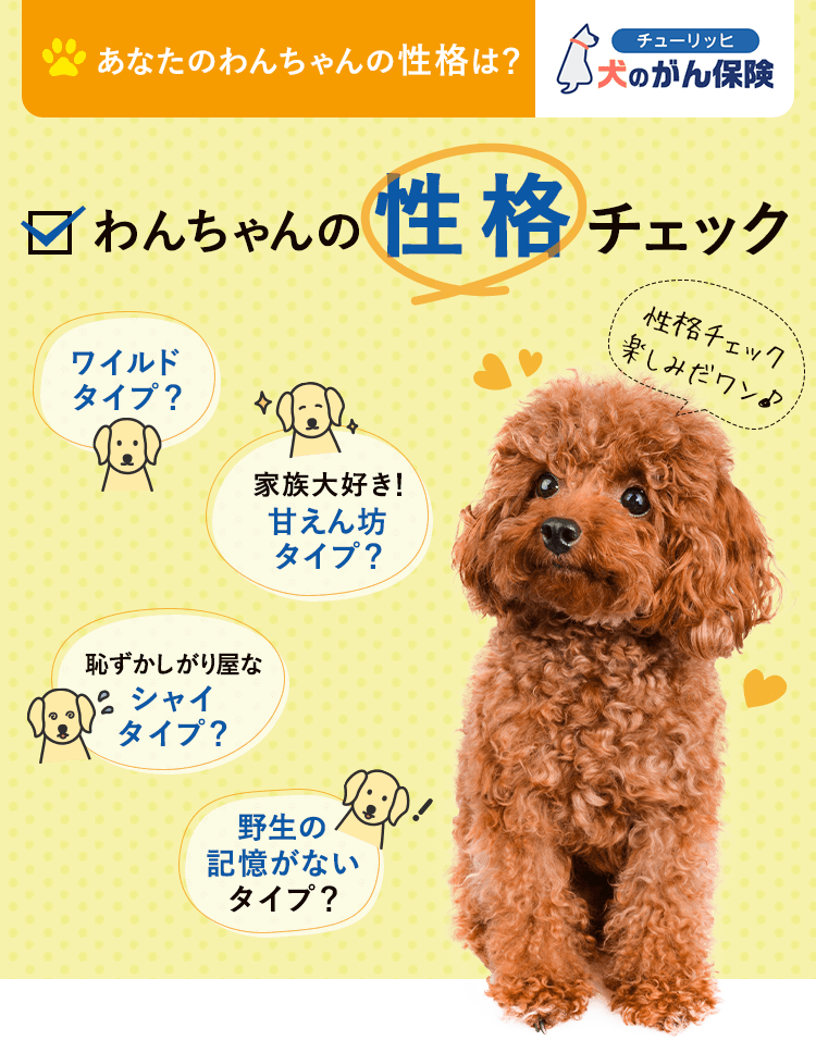 チューリッヒ犬のがん保険「わんちゃんの性格チェック」