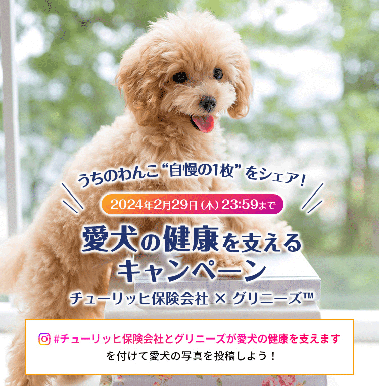 愛犬の健康を支えるキャンペーン