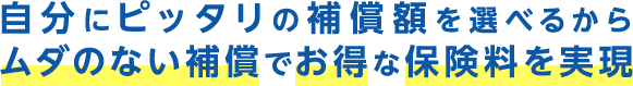 自分にピッタリの補償額を選べるからムダのない補償でお得な保険料を実現