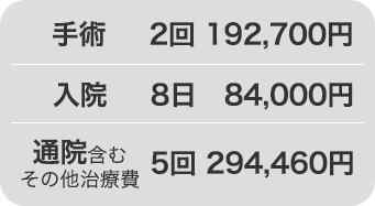 手術：2回192,700円 入院：8日84,000円 通院含むその他治療費：5回294,460円