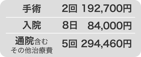 手術：2回192,700円 入院：8日84,000円 通院含むその他治療費：5回294,460円