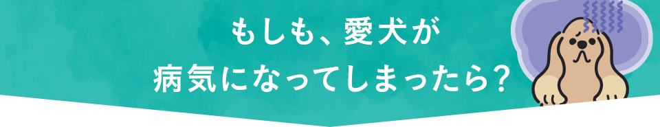 もしも、愛犬が病気になってしまったら？