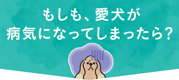 もしも、愛犬が病気になってしまったら？