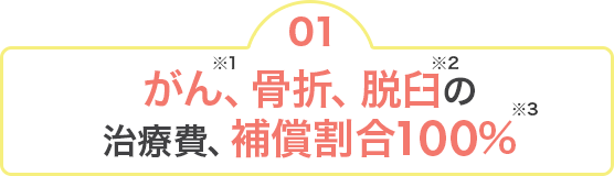 01 がん※1、骨折、脱臼※2の治療費、補償割合100％※3