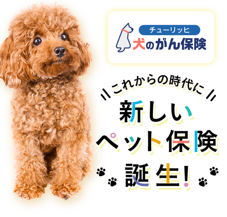 [チューリッヒ 犬のがん保険]これからの時代に 新しいペット保険誕生！