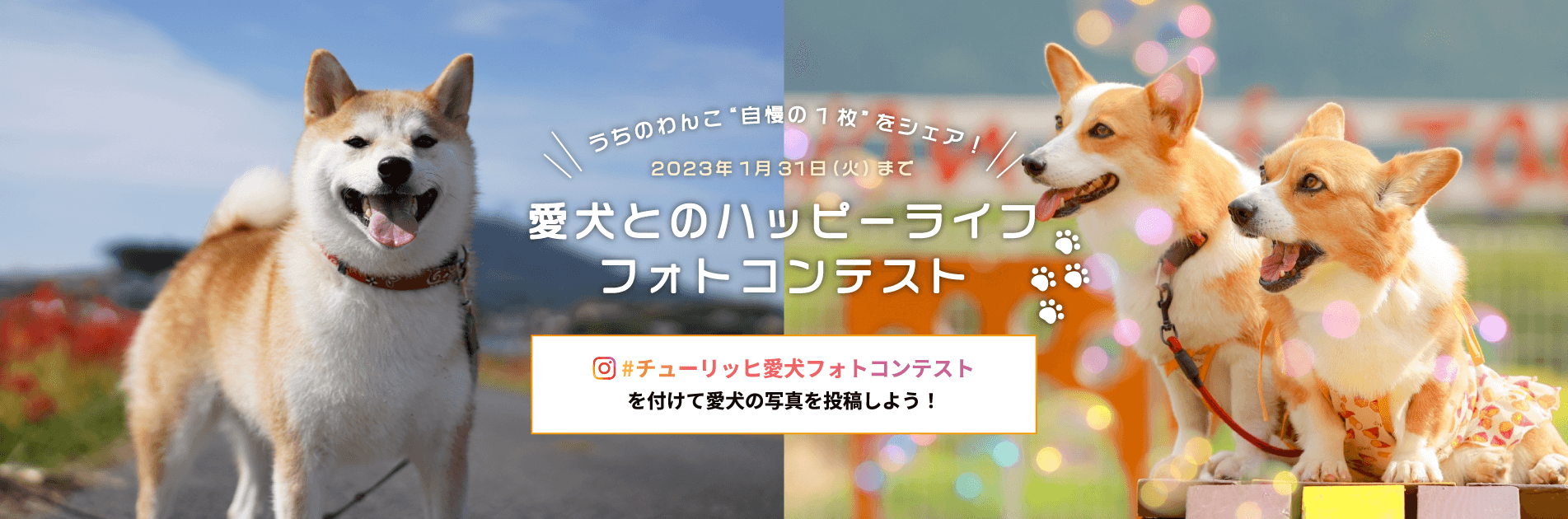 愛犬とのハッピーライフフォトコンテスト