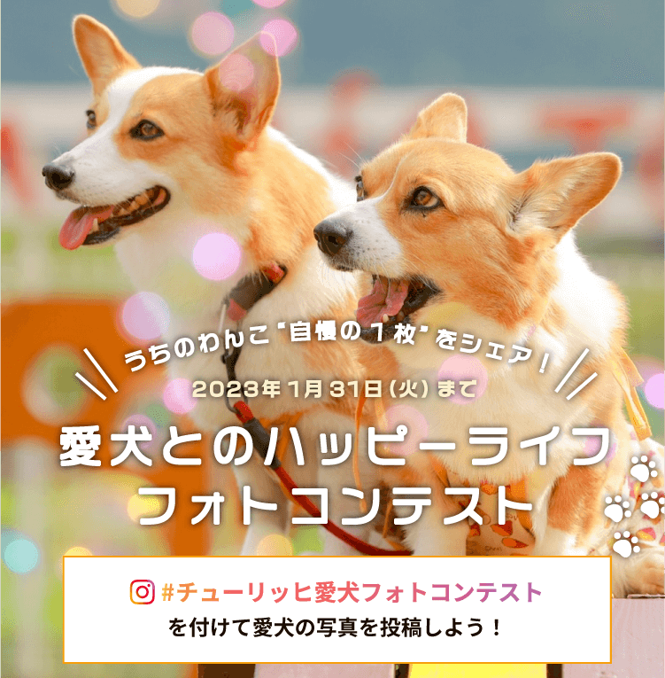 愛犬とのハッピーライフフォトコンテスト