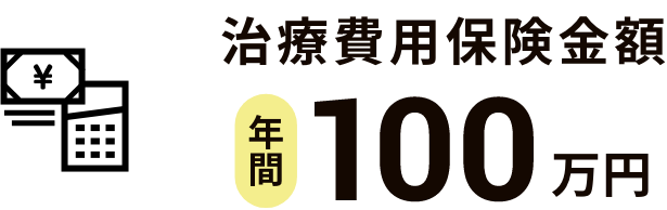 治療費用保険金 年間100万円